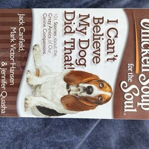 Two Chicken Soup books